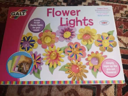 Photo of free Paper flower craft (Brincliffe Edge S7) #2