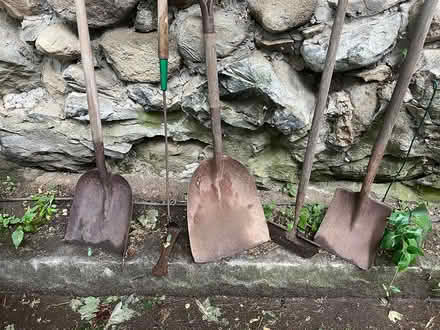 Photo of free Garden tools (East Watertown) #2