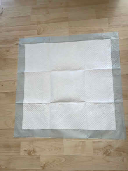 Photo of free Dog house-training pads (Summertown OX2) #1
