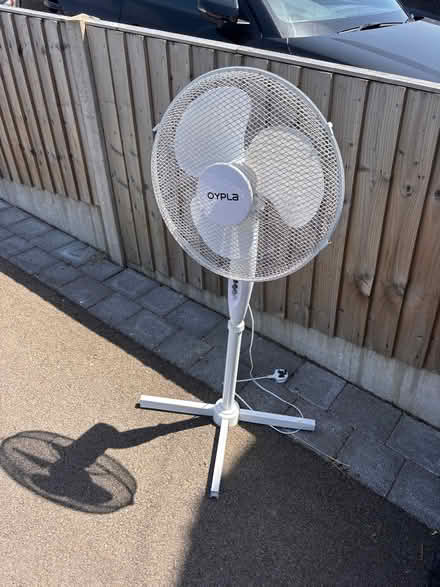 Photo of free Pedestal fan (Sheldon B92) #1