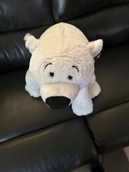 Photo of free Cuddly Bear - Coxheath (Coxheath ME17) #2