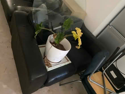 Photo of free 2 black leather sofas (Golborne) #2
