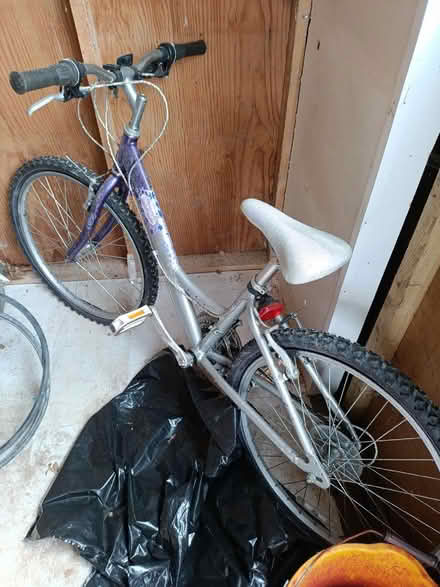 Photo of free Girls bike (Gorebridge EH23) #1