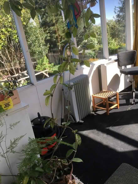 Photo of free Various pots with plants (High Barnet EN5) #3