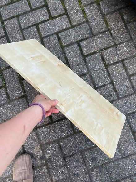 Photo of free 4 indoor shelves (Bromsgrove B61) #3