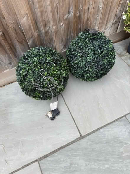 Photo of free Topiary Balls (Reading West RG1) #1