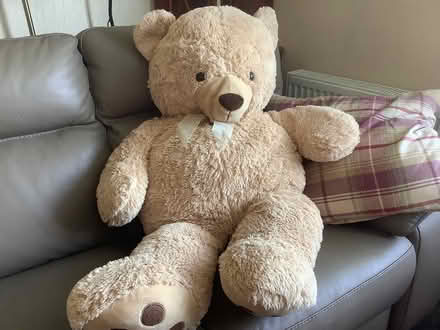 Photo of free Large teddy bear (Rushwick WR2) #1