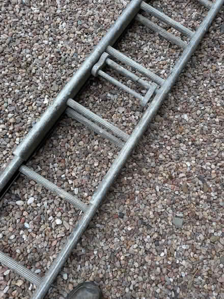 Photo of free Ladder (Steventon SY8) #4