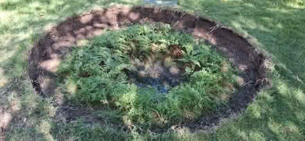 Photo of free Trampoline - Inground (Balerno EH14) #3