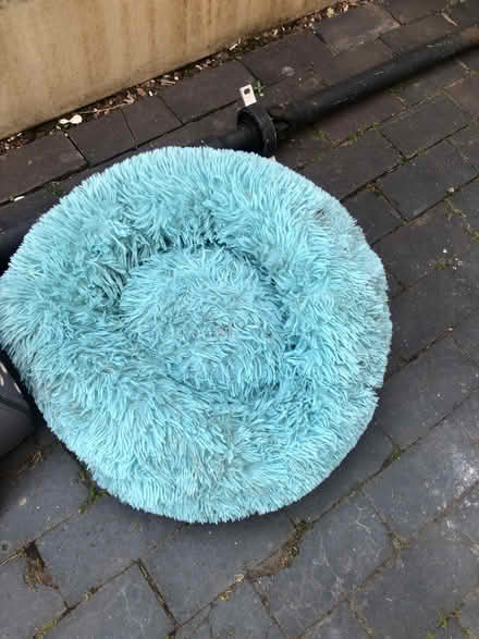 Photo of free Cat bed (Cavendish DE23) #1