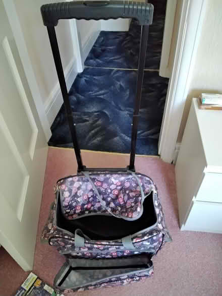Photo of free Wheeled trolley with adjustable handle (Eye PE6) #3