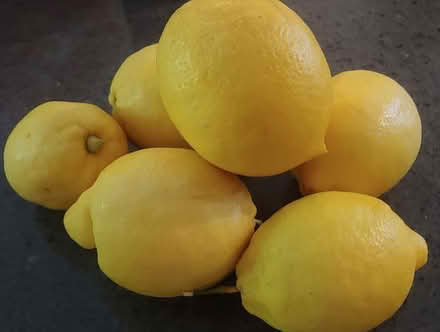 Photo of free Fresh Lemons (Sunnyvale 94087) #1