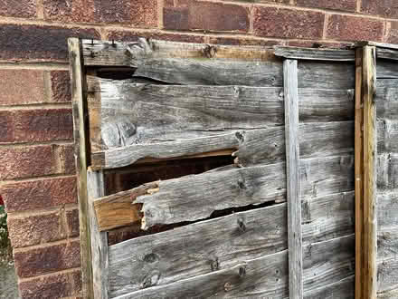 Photo of free Wooden fence panels (Maidstone) #2