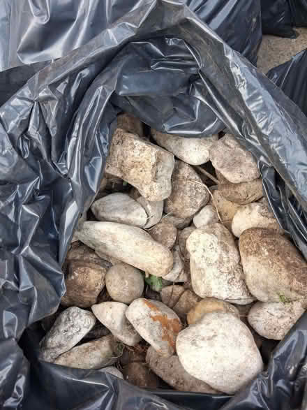 Photo of free Garden Stones (Earlsfield SW17) #2