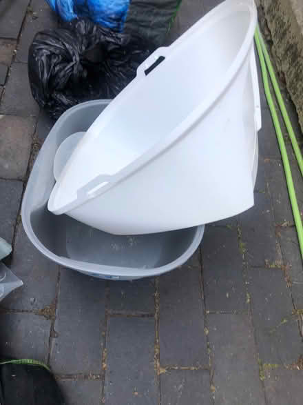 Photo of free Cat Loo (Cavendish DE23) #1