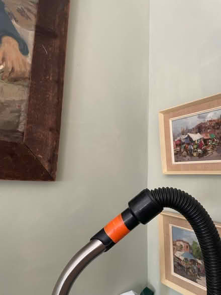 Photo of Hetty hose (Hove BN3) #2