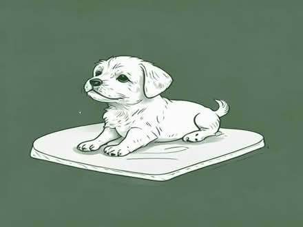 Photo of Puppy pads or items (Burwell OX28) #1