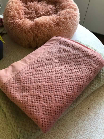 Photo of free Soft Pet Bed and Blankets (Redditch B98) #3