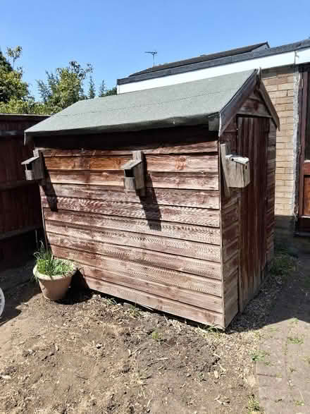 Photo of free Garden Shed (Napsbury AL1) #1