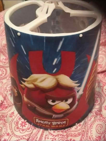Photo of free Light shade (Gorebridge EH23) #1