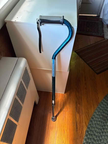Photo of free Cane (Croton-on-Hudson) #1