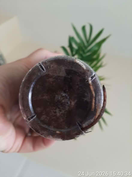 Photo of free Parlour palm for rescue (Edgwarebury Lane) #4