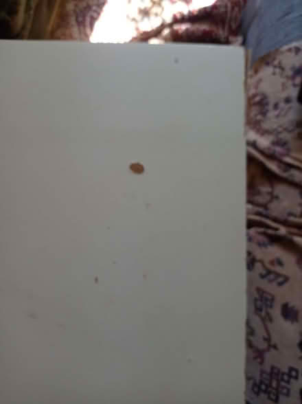 Photo of free Table (Knighton LD7) #1
