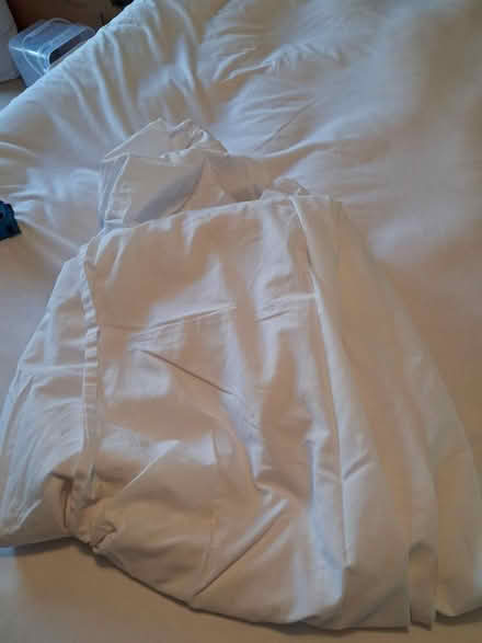 Photo of free White single sheet (Roffey, Horsham) #2
