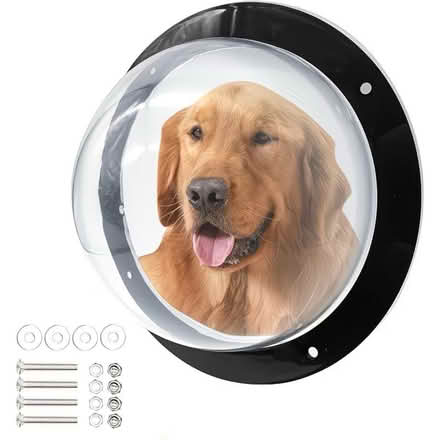 Photo of free Dog window (BN17) #1