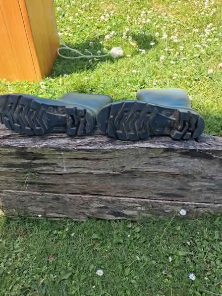 Photo of free Ankle boots (Roffey, Horsham) #1