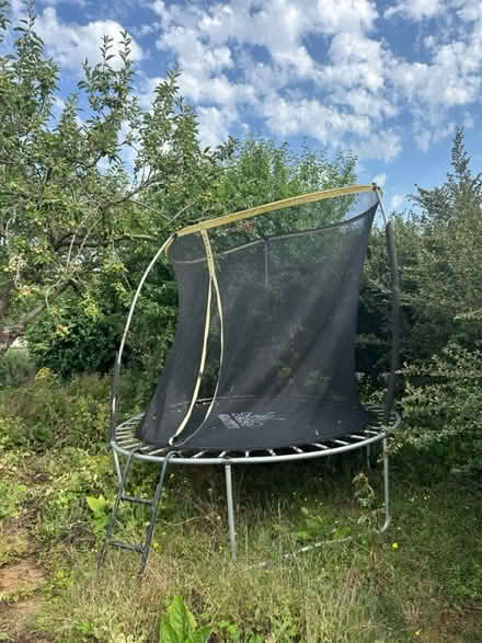 Photo of free Trampoline (Rg80AL) #1