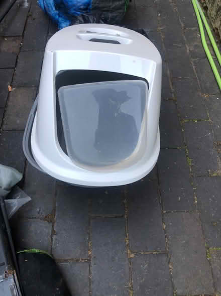 Photo of free Cat Loo (Cavendish DE23) #2