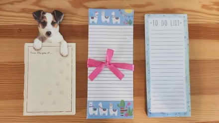 Photo of free 3 pads of paper (King Farm) #1