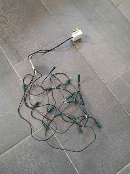 Photo of free Xmas lights (firhouse) #1