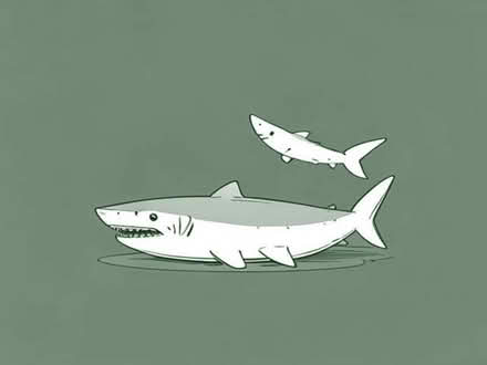 Photo of Sharks Teeth (St. Peter's CT10) #1