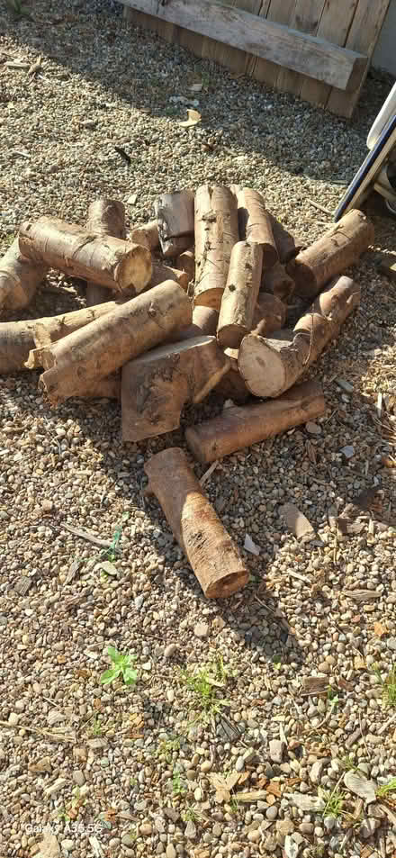 Photo of Tree logs (Chapel-en-le-Frith SK23) #1