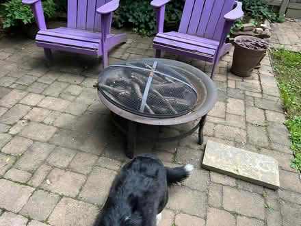 Photo of free Metal outdoor fire pit (Bloor West Village) #2