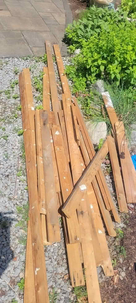 Photo of free 1x3 wood, several feet (Westford, Nabnasset area.) #1