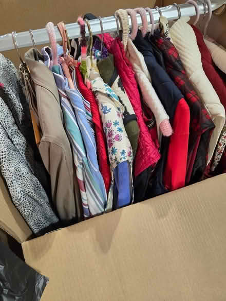 Photo of free woman's size 14 mostly (Manville) #2