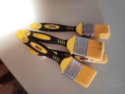 Photo of free Paint Brushes (PR9 0EA) #1