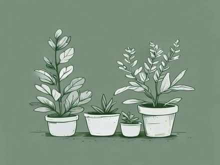 Photo of Some beautiful plants for my garden (Farley Hill LU1) #1