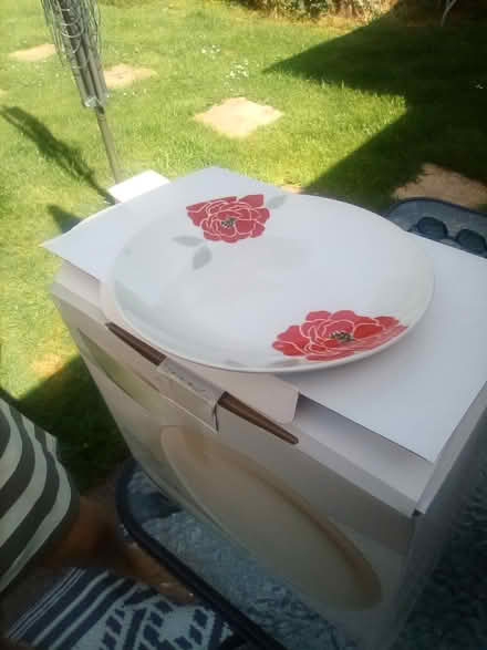 Photo of free Dinner set (Malvern WR14) #1
