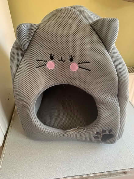 Photo of free Kitten/cat bed (Bucknell SY7) #1