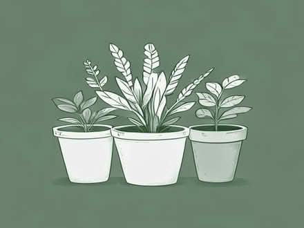 Photo of Mixed plant pots (Ham GL13) #1