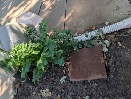 Photo of free Shelf, paver, plastic bins (Downtown Oak Park) #3