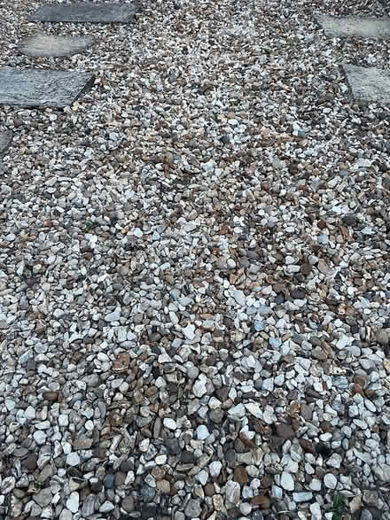 Photo of free Garden Stones (Wrexham) #4