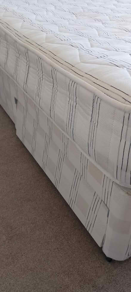 Photo of free Small double divan bed (Shrewsbury SY5) #4