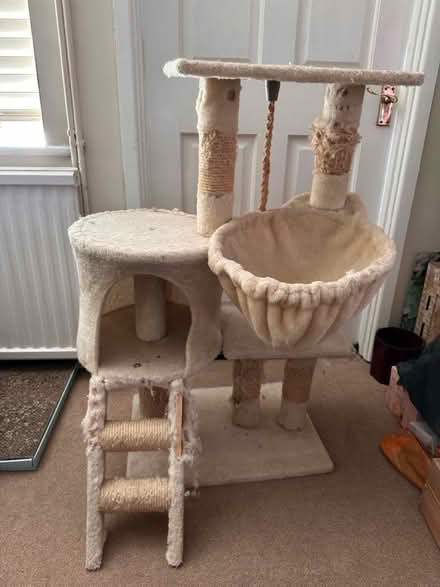 Photo of free Well used cat tree (RG30, Reading West) #1