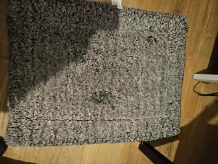 Photo of free Small Dog Mat (Littlemore OX4) #1