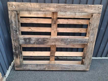 Photo of free wooden pallett (wyberton) #1
